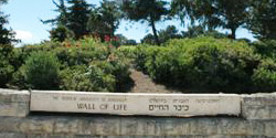 Wall of Life